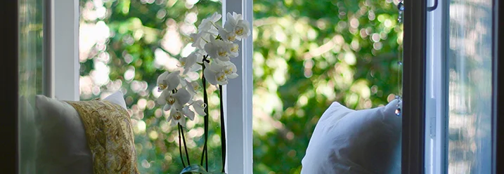 Fensterbank mit Orchidee